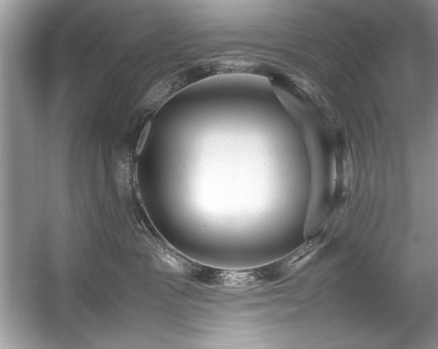 X0000059070333200510101057