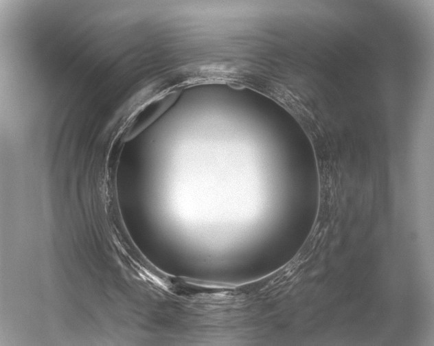 X0000059070338200510101056