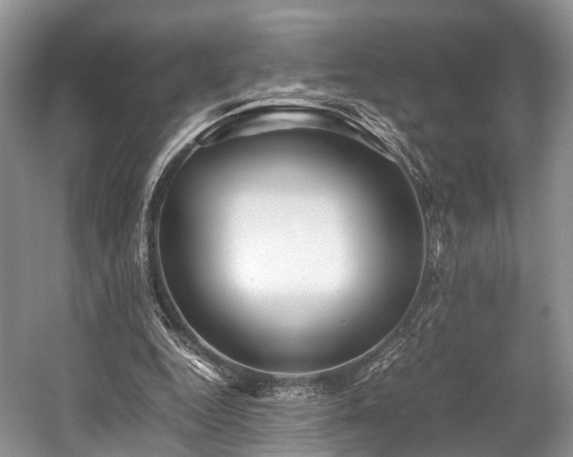 X0000059070344200510101056