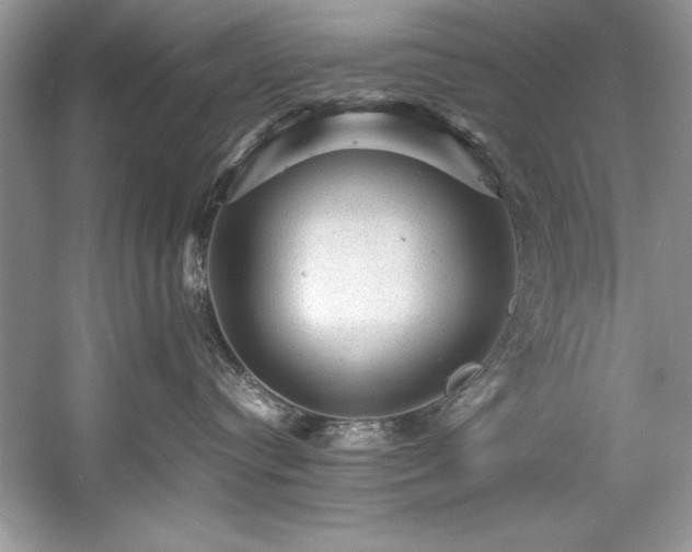 X0000059070384200510101057