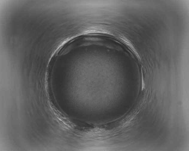 X0000059070387200510101056
