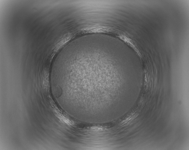 X0000059070394200510101056