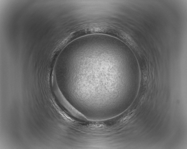 X0000059070401200510101056