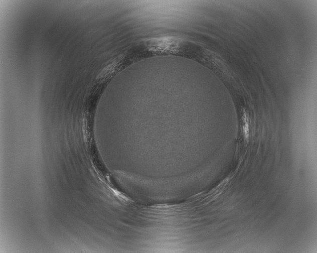 X0000059070416200510101056