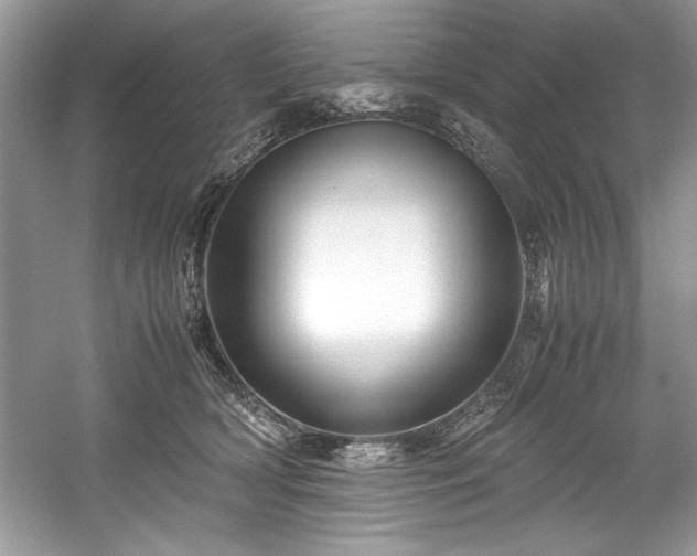 X0000059070418200510101056
