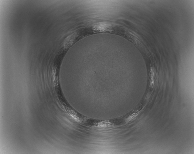 X0000059070420200510101056