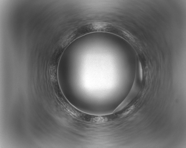 X0000059070421200510101056