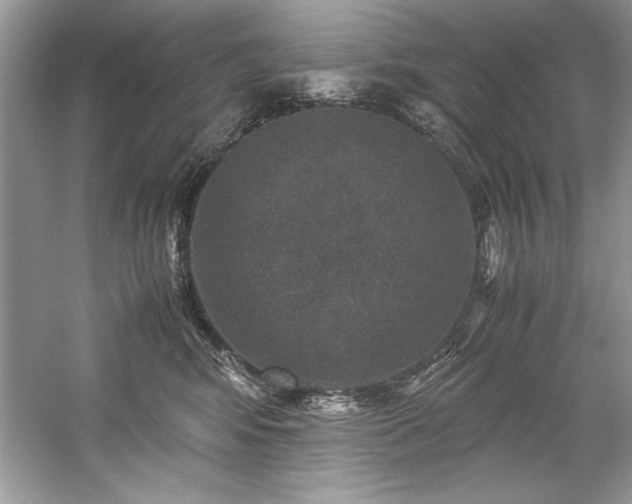 X0000059070424200510101056