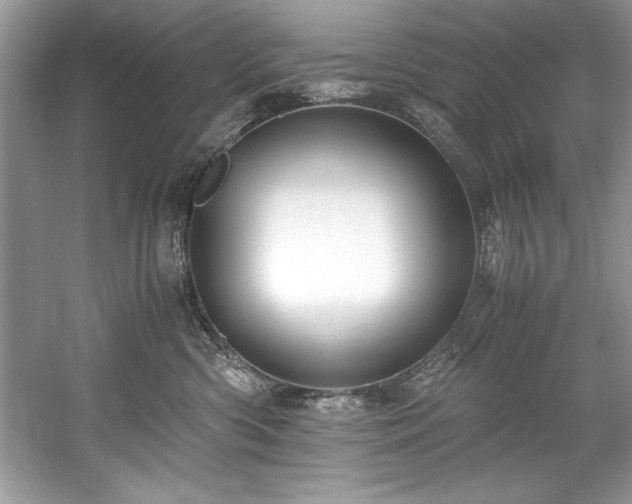 X0000059070426200510101056