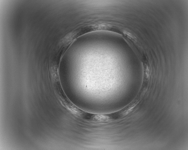 X0000059070429200510101055