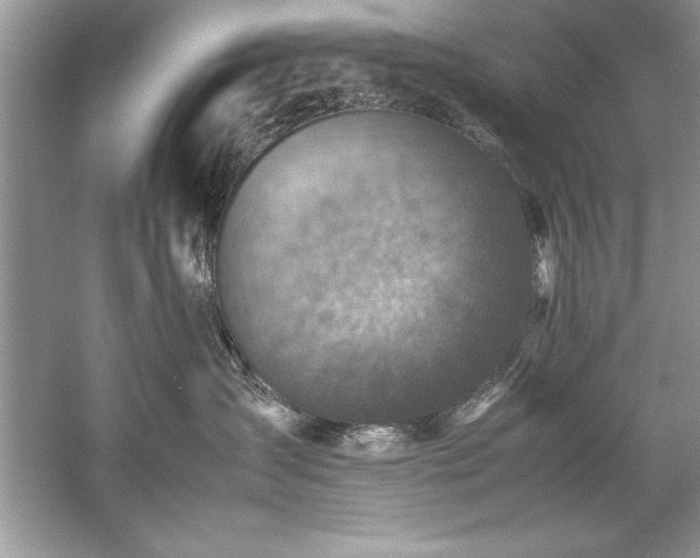 X0000059070431200510101055