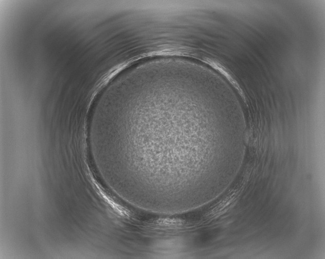 X0000059070437200510101055