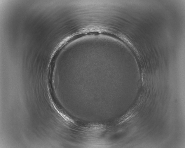 X0000059070438200510101055