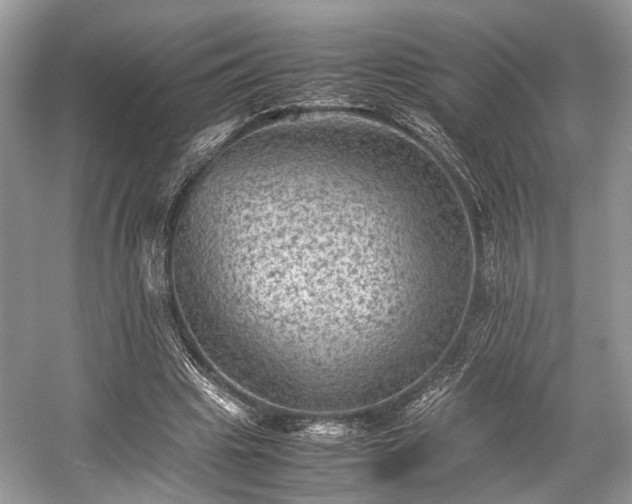 X0000059070441200510101055
