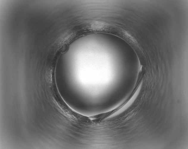 X0000059070454200510101055
