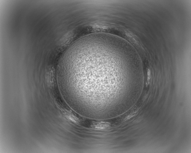 X0000059070463200510101055