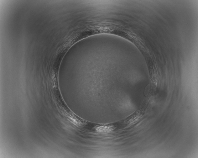 X0000059070465200510101055