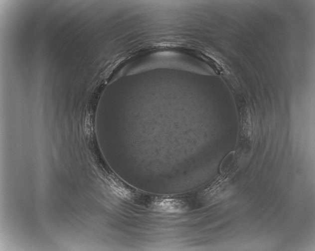 X0000059070467200510101055