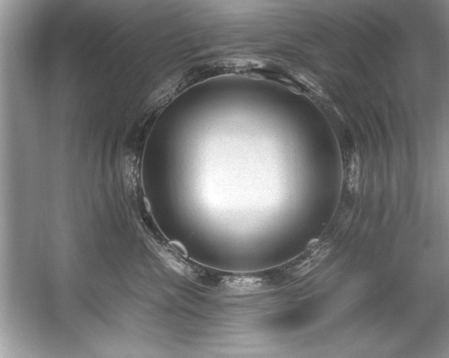 X0000059070476200510101055
