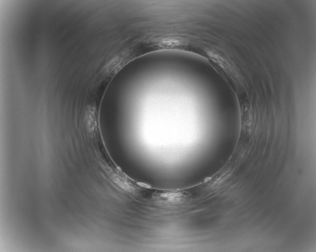 X0000059070478200510101055