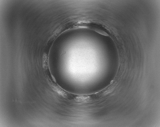 X0000059070480200510101055