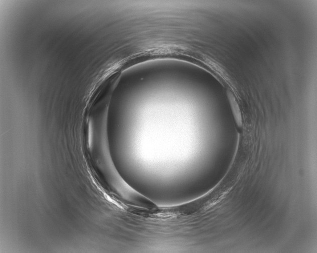 X0000059070485200510101055