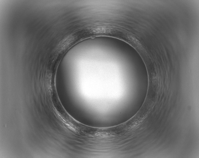 X0000059070490200510101054