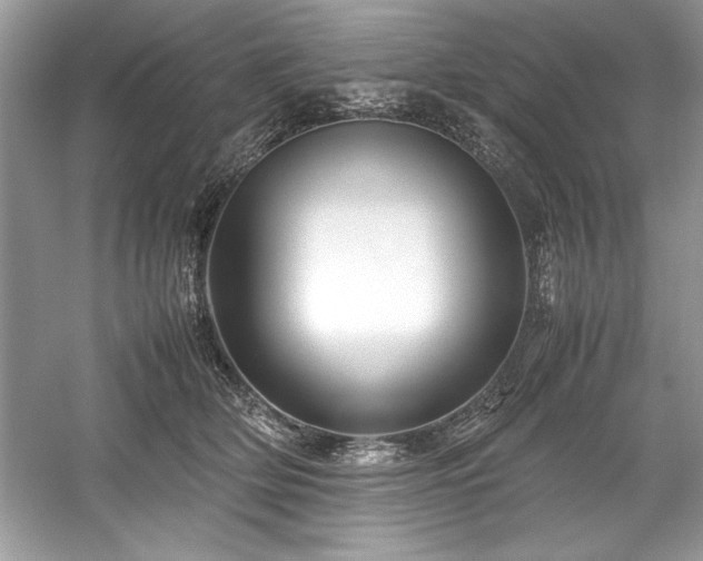X0000059070514200510101054