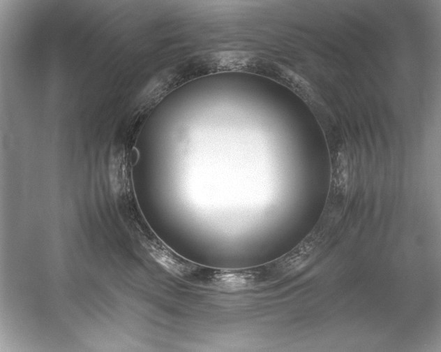 X0000059070522200510101054