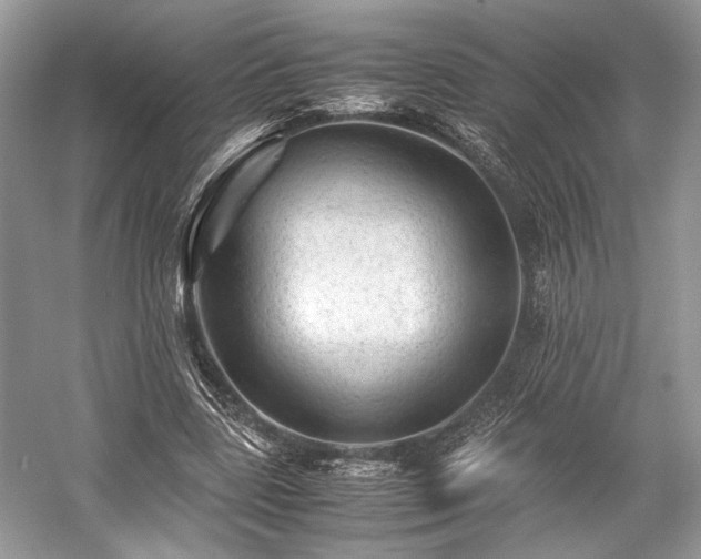 X0000059070539200510101053