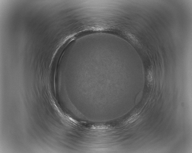 X0000059070540200510101053