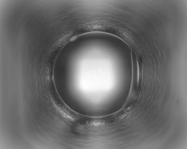 X0000059070546200510101053