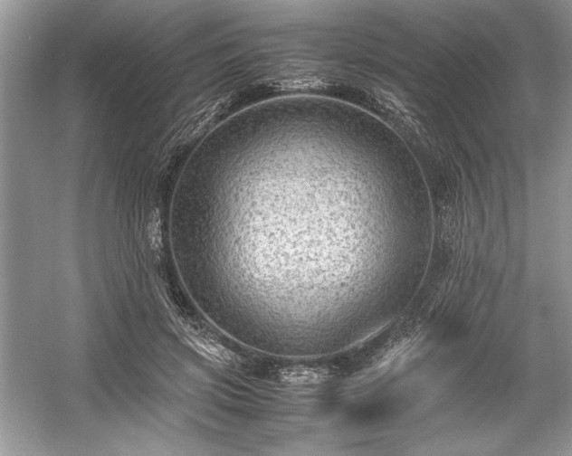 X0000059070549200510101053