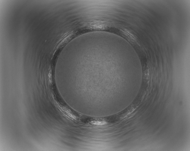 X0000059070552200510101053