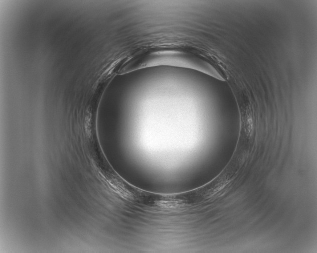 X0000059070556200510101053