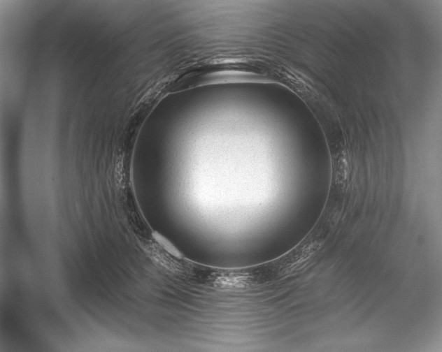 X0000059070560200510101053