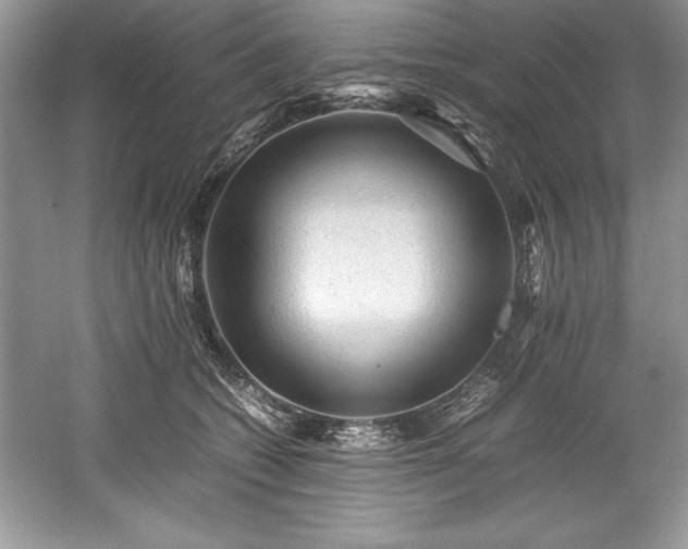 X0000059070562200510101054