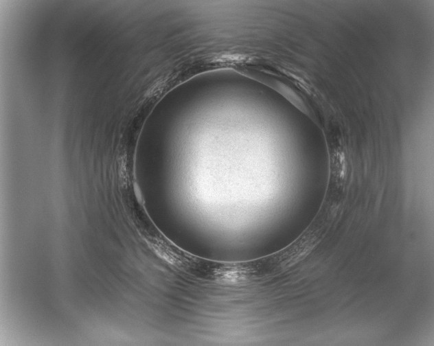 X0000059070564200510101054