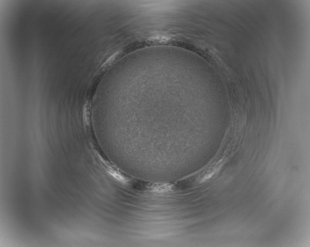 X0000059070576200510101054