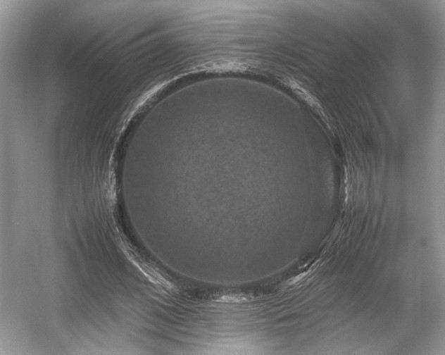 X0000059070584200510101053