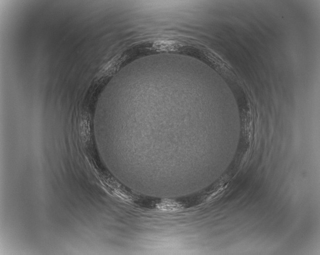 X0000059070603200510101053