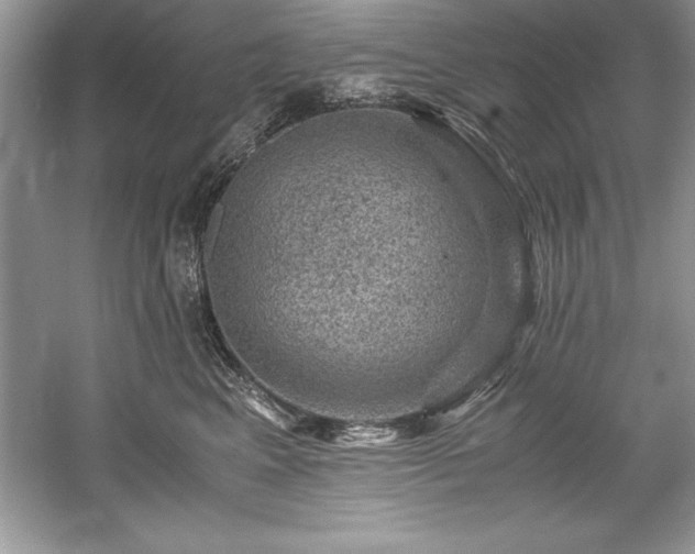 X0000059070617200510101052