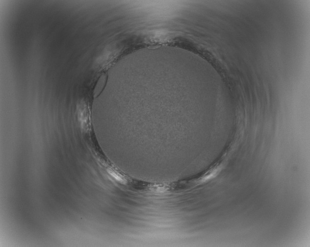 X0000059070624200510101052