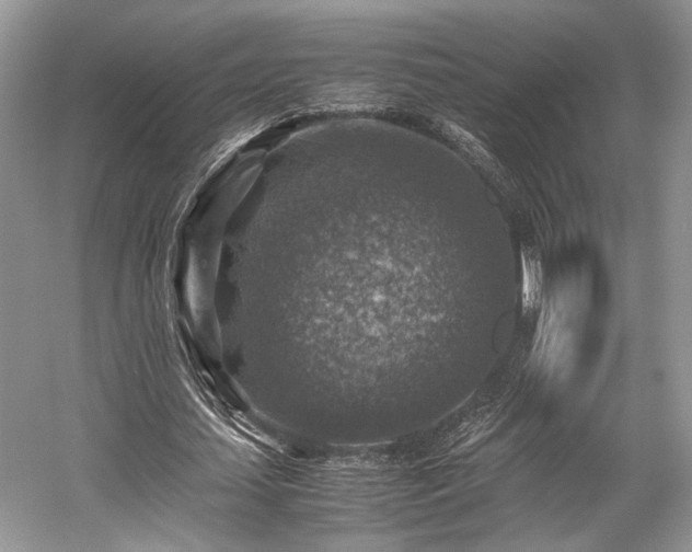 X0000059070627200510101051