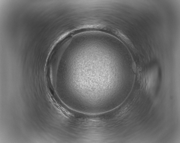 X0000059070628200510101051