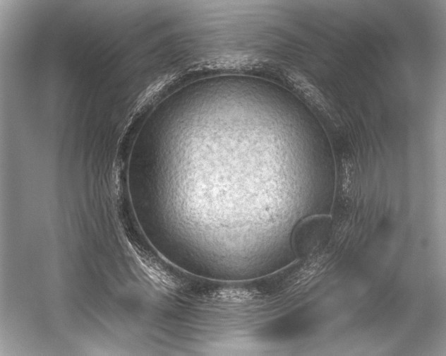 X0000059070636200510101052