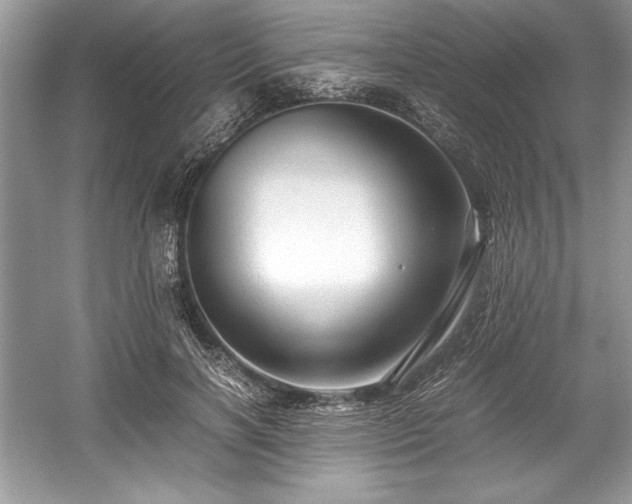 X0000059070646200510101052