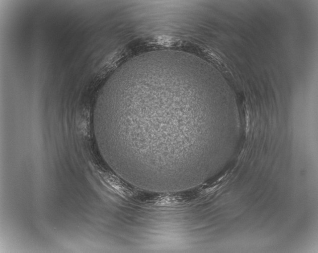 X0000059070656200510101052