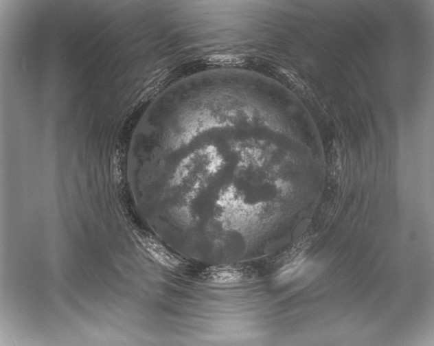 X0000059070658200510101052