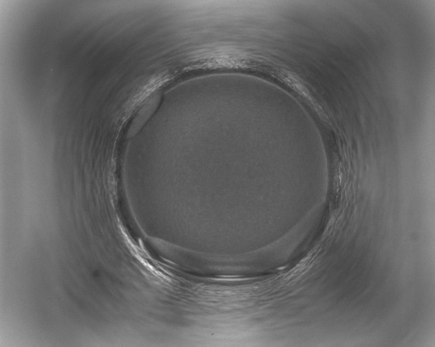 X0000059070677200510101051